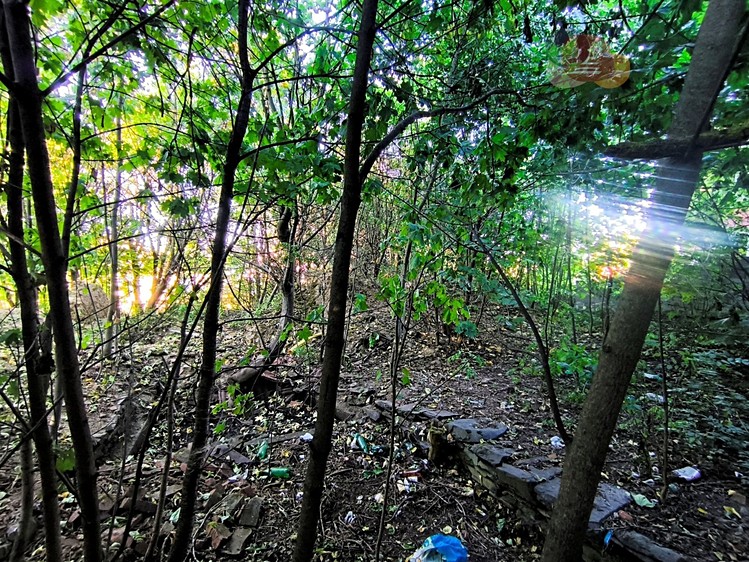Grundstück zum Kauf, 3.992 m² (10 von 21)