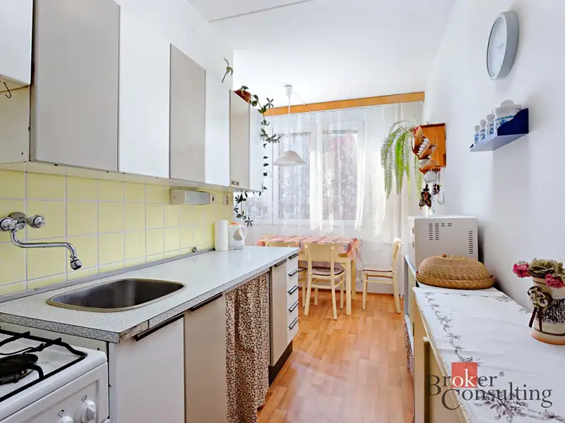 Pronájem bytu 1+1 40 m², Plzeň – náhled fotky 3