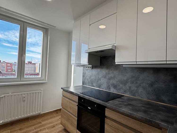 Pronájem bytu 2+1, 43 m² (4 z 15)
