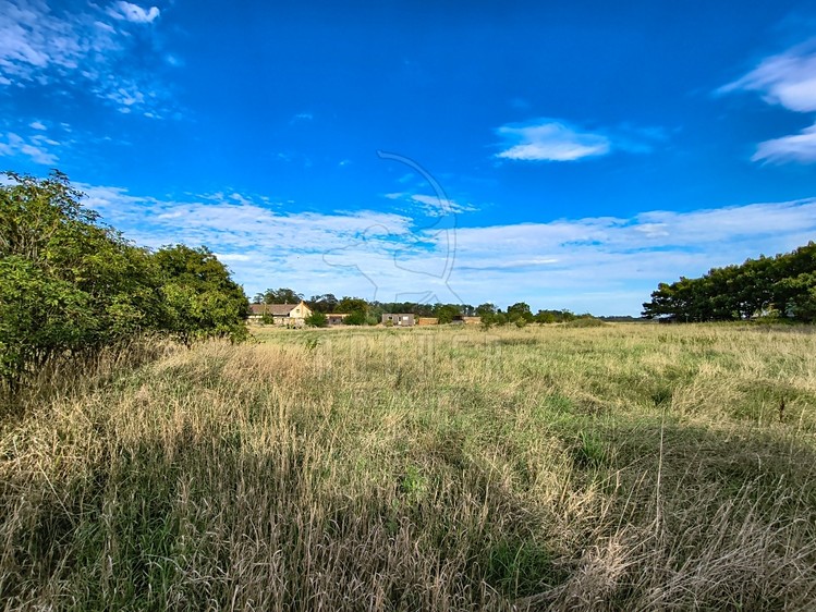 Ділянка на продаж, 7 856 м² (2 з 10)