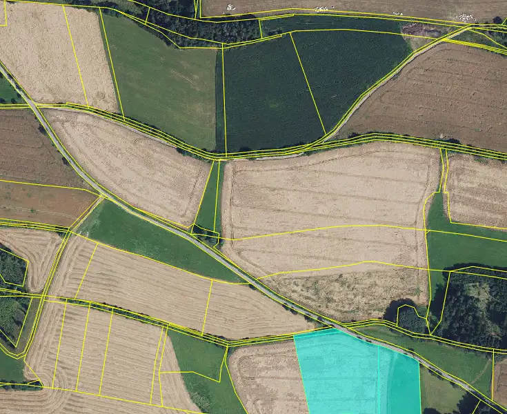 Prodej pole 29552 m², Jimramov – náhled fotky 3