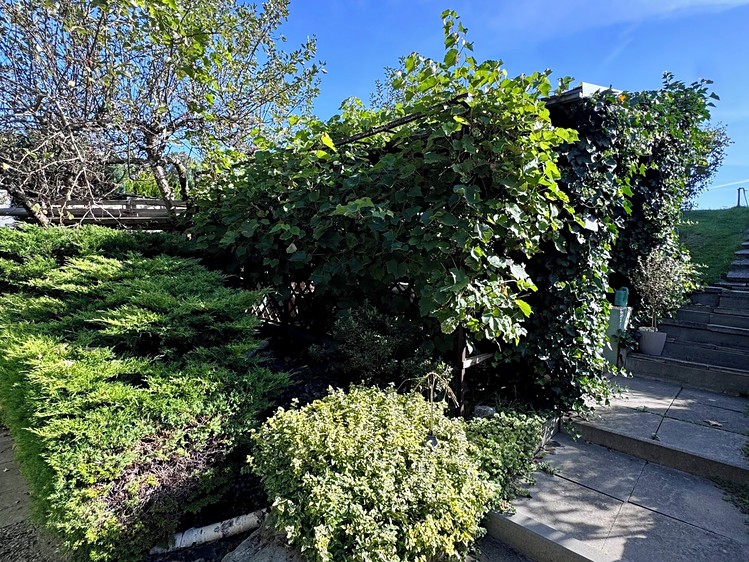 Grundstück zum Kauf, 446 m² (11 von 34)