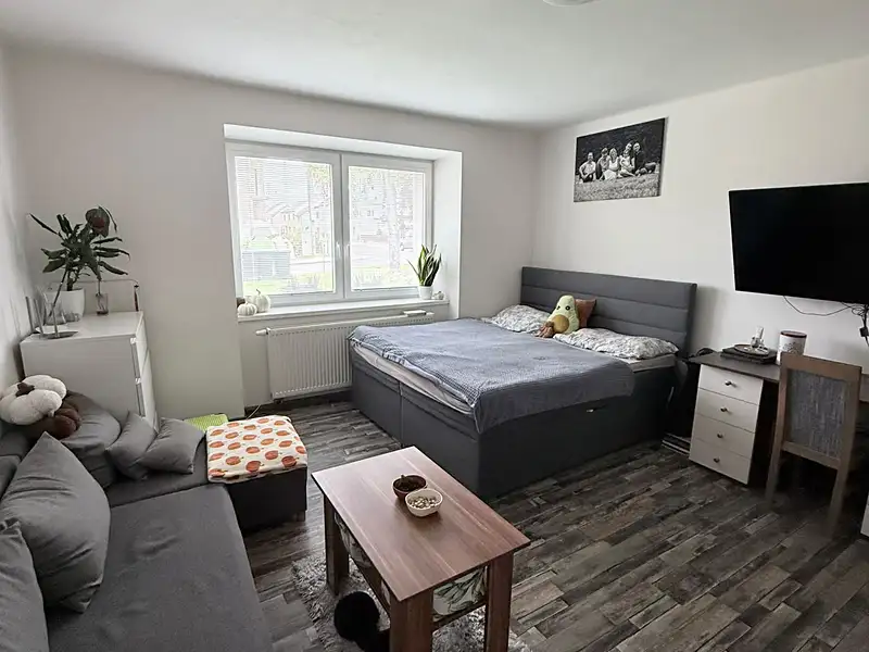 Pronájem bytu 1+kk 30 m², Štěpánov – náhled fotky 2