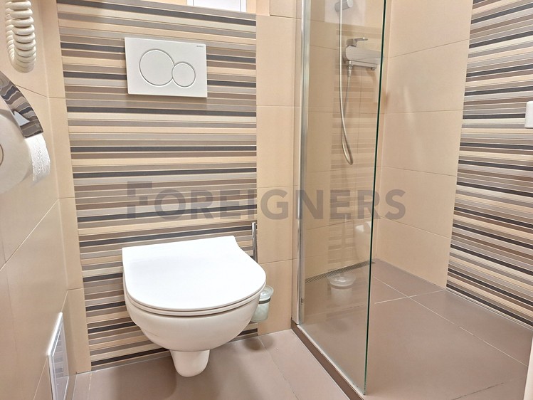 Квартира 1+1 в оренду, 53 м² (7 з 8)