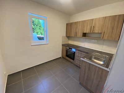 Wohnung 2+1 zur Miete, 50 m² (2 von 13)