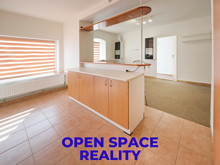 Prodej komerčního prostoru, 239 m² (35 z 57)