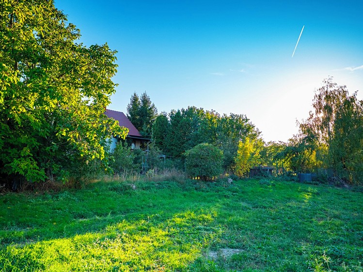 Ostatní