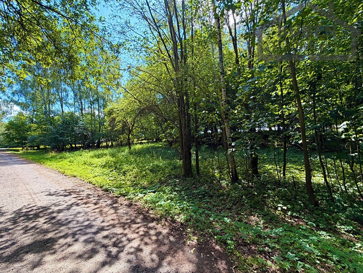 Prodej pozemku, 4 165 m² (12 z 19)