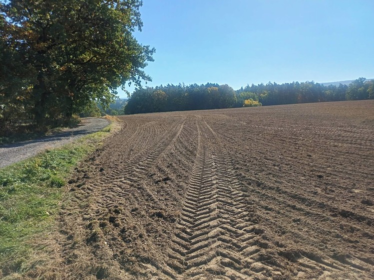 Grundstück zum Kauf, 15.767 m² (1 von 5)