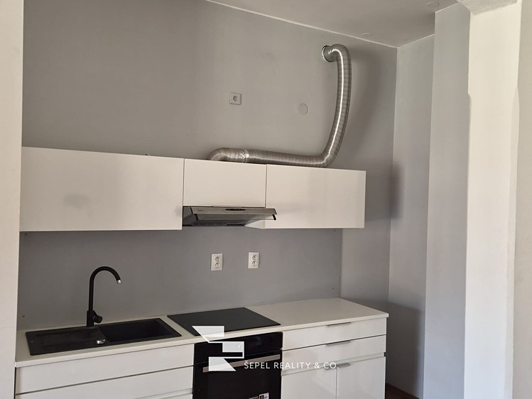 The 2+kk flat for rent, 107 m² (5 of 20)