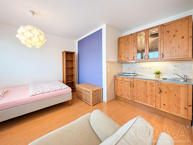 Wohnung 1+kk zum Kauf, 30 m² (3 von 24)