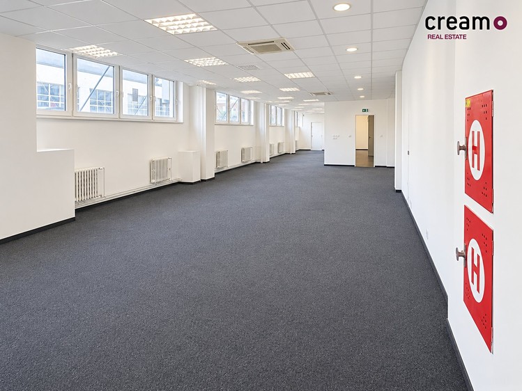 Pronájem komerčního prostoru, 660 m² (5 z 13)
