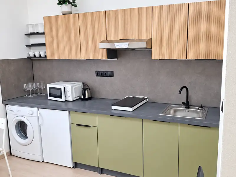 Pronájem bytu 1+kk 23 m², Praha – náhled fotky 3