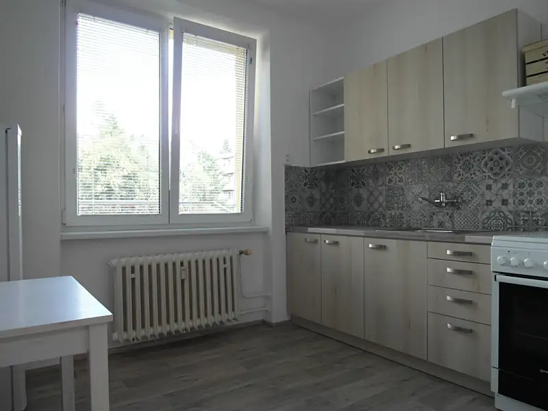 Pronájem bytu 1+1 48 m², Zlín – náhled fotky 3