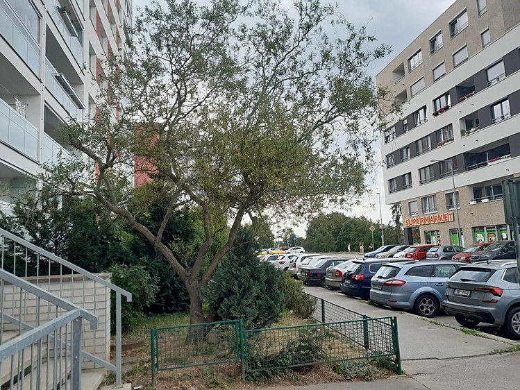 Gewerbefläche zum Kauf, 15 m² (13 von 13)