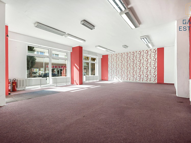 Prodej komerčního prostoru, 87 m² (3 z 13)