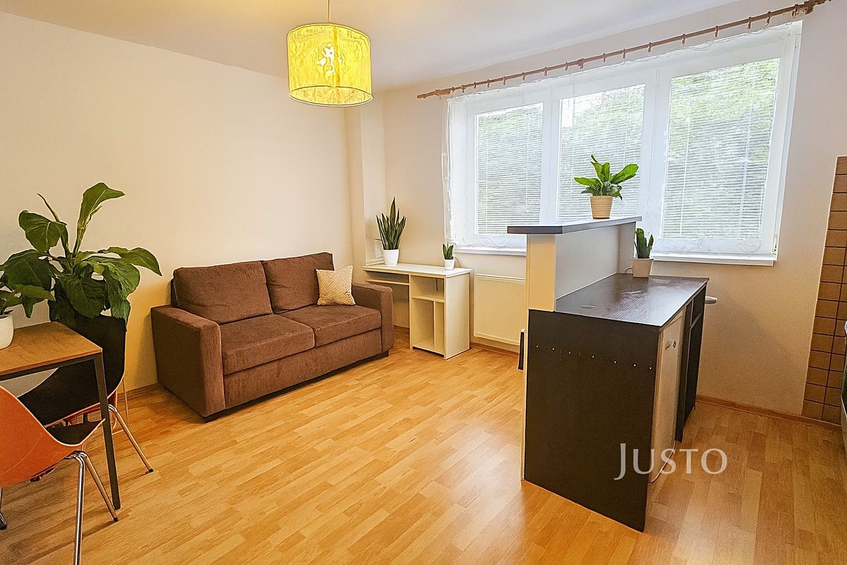 Pronájem bytu 1+kk 28 m²