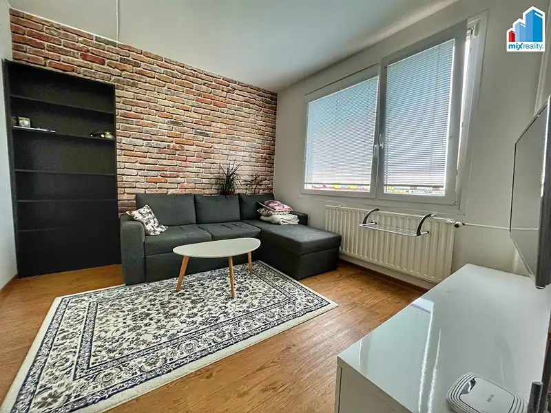 Pronájem bytu 1+1 39 m², Plzeň – náhled fotky 3