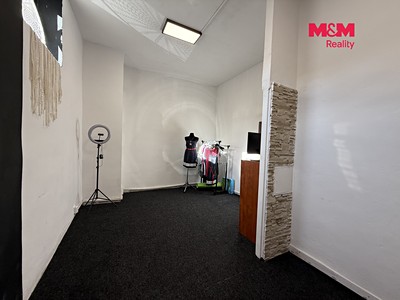Gewerbefläche zur Miete, 56 m² (2 von 10)