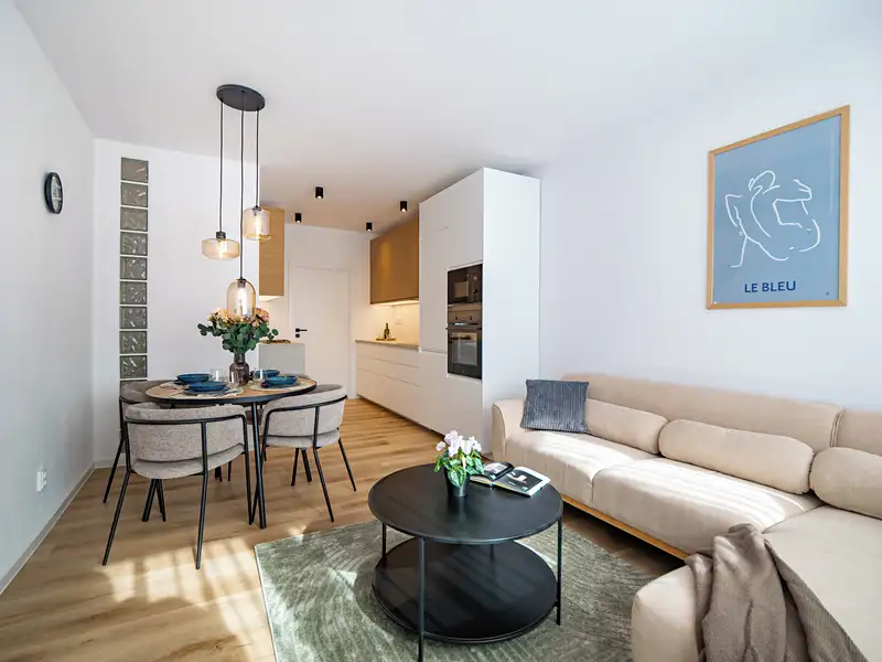 Prodej bytu 3+kk 60 m², Brno – náhled fotky 1