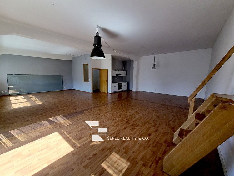 The 2+kk flat for rent, 107 m² (8 of 20)