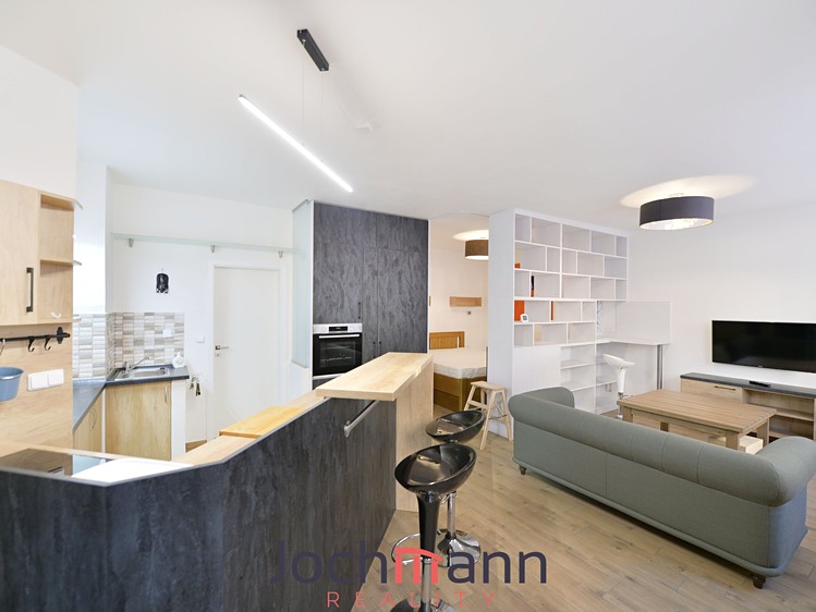 Wohnung 1+kk zur Miete, 50 m² (1 von 14)