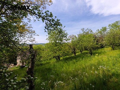 Grundstück zum Kauf, 953 m² (2 von 11)
