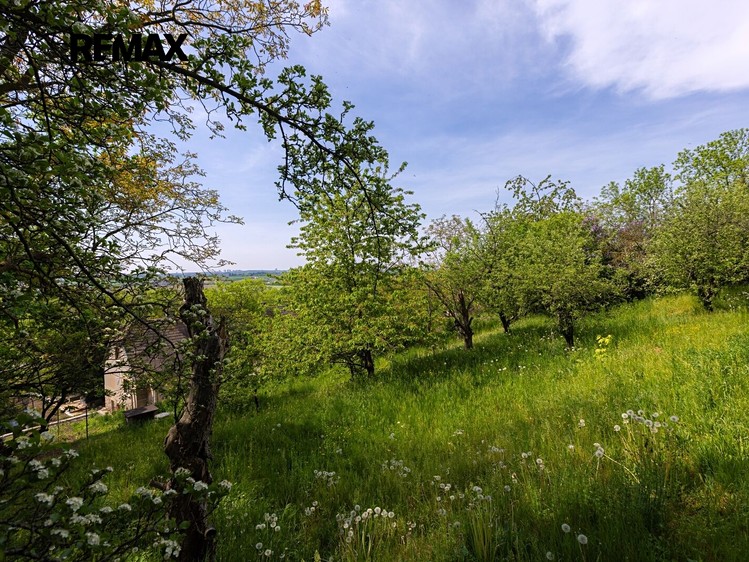 Grundstück zum Kauf, 953 m² (2 von 11)