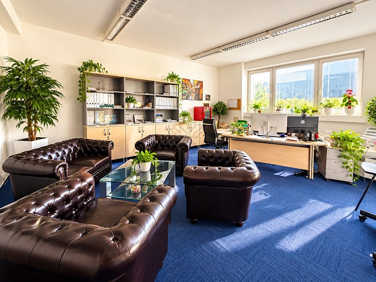 Pronájem komerčního prostoru, 125 m² (17 z 59)