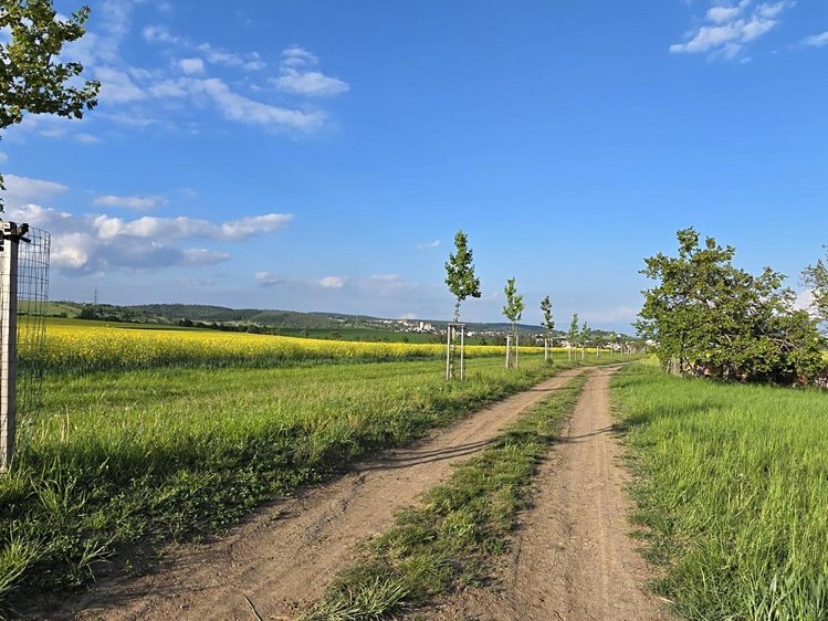 Grundstück zum Kauf, 2.164 m² (15 von 15)