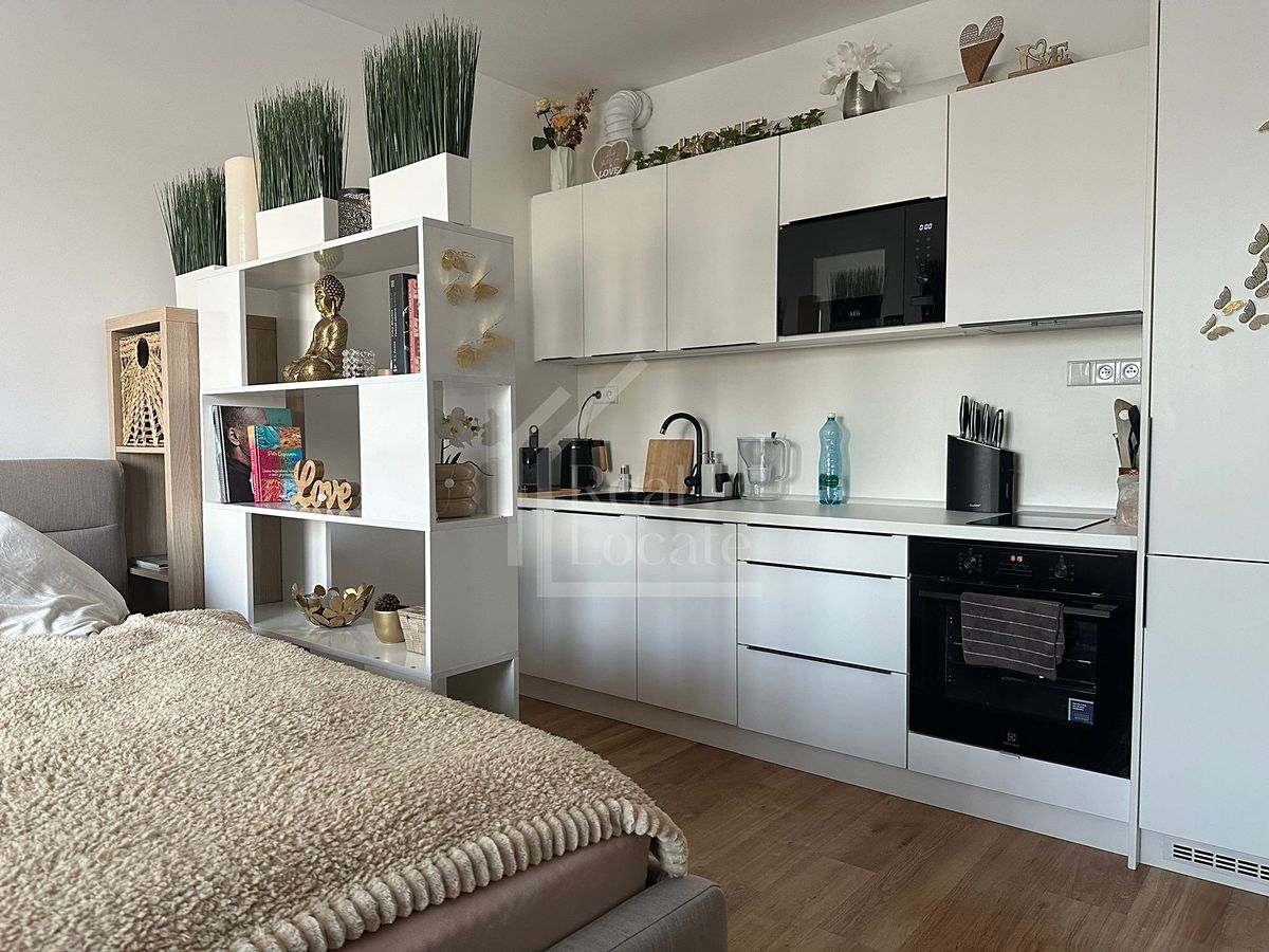 Pronájem bytu 1+kk 34 m²