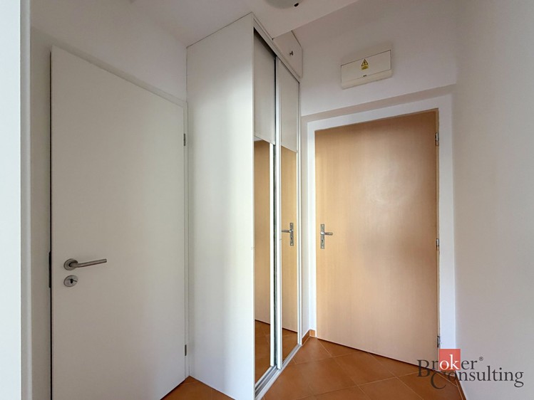 Pronájem bytu 1+kk, 33 m² (7 z 8)