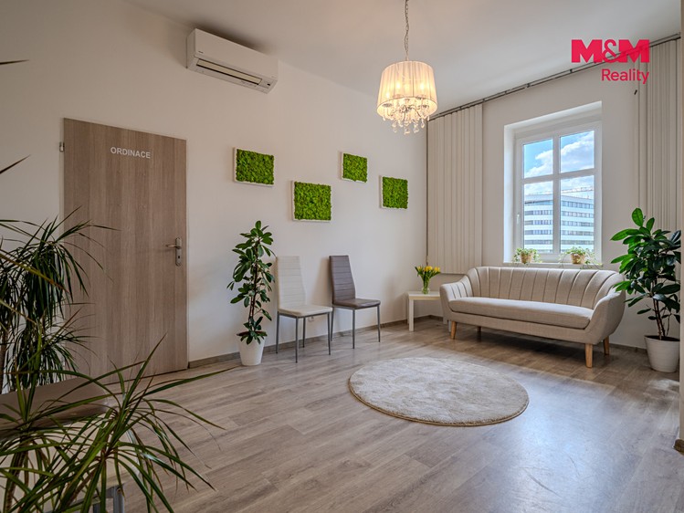 Prodej komerčního prostoru, 149 m² (5 z 22)
