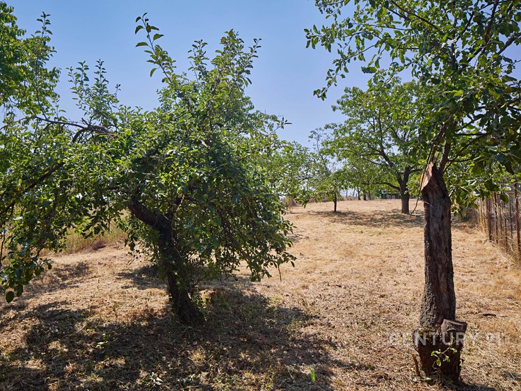 Prodej pozemku, 1 034 m² (5 z 11)