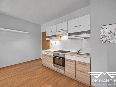 Квартира 1+kk в оренду, 30 м² (2 з 15)