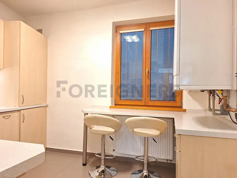 Pronájem bytu 1+1 53 m², Olomouc – náhled fotky 2