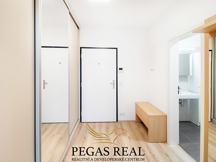Wohnung 1+kk zur Miete, 43 m² (7 von 13)