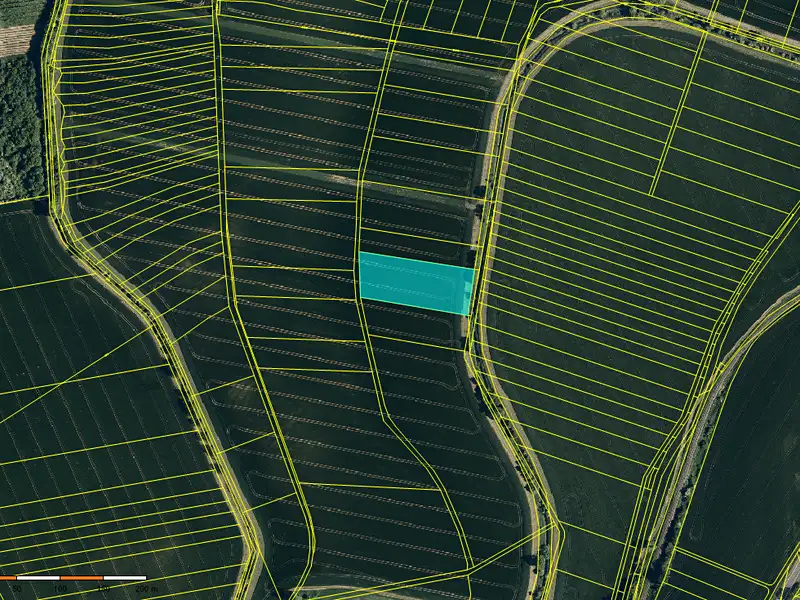 Prodej pole 6910 m², Zdounky – náhled fotky 2