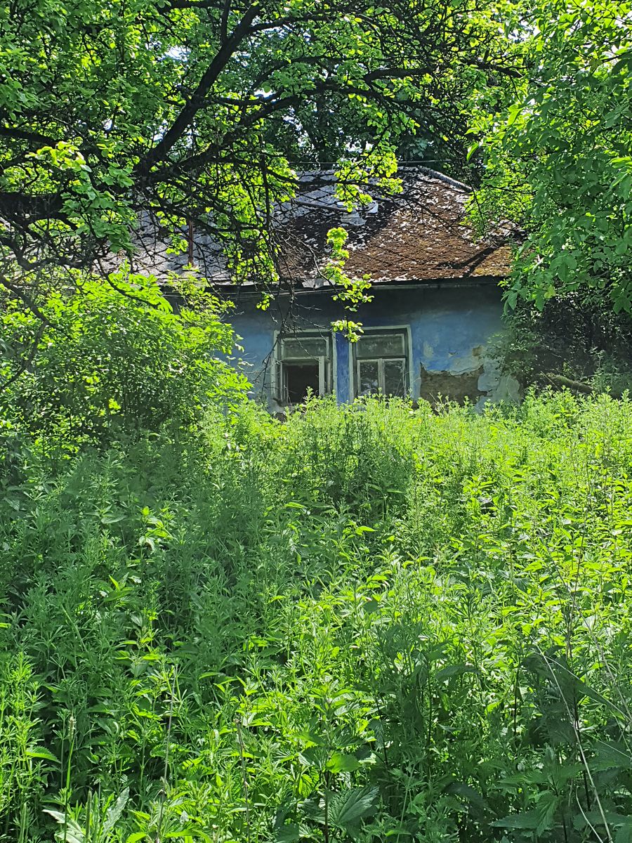 Prodej rodinného domu 79 m², pozemek 12265 m², Lopeník – fotka 1 z 3