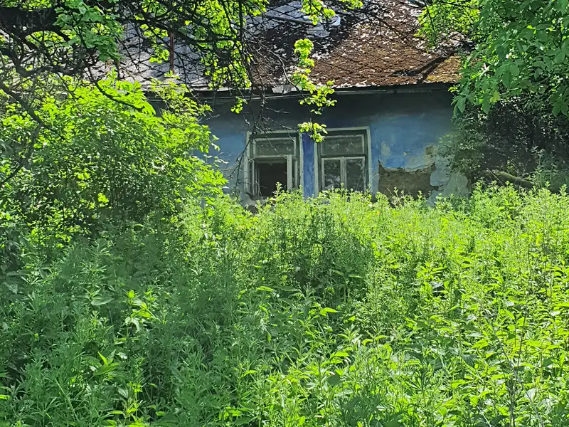 Prodej rodinného domu 79 m², pozemek 12265 m², Lopeník – náhled fotky 1
