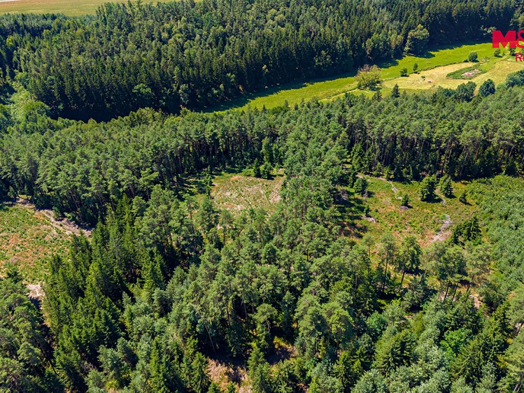Prodej pozemku, 11 944 m² (7 z 10)