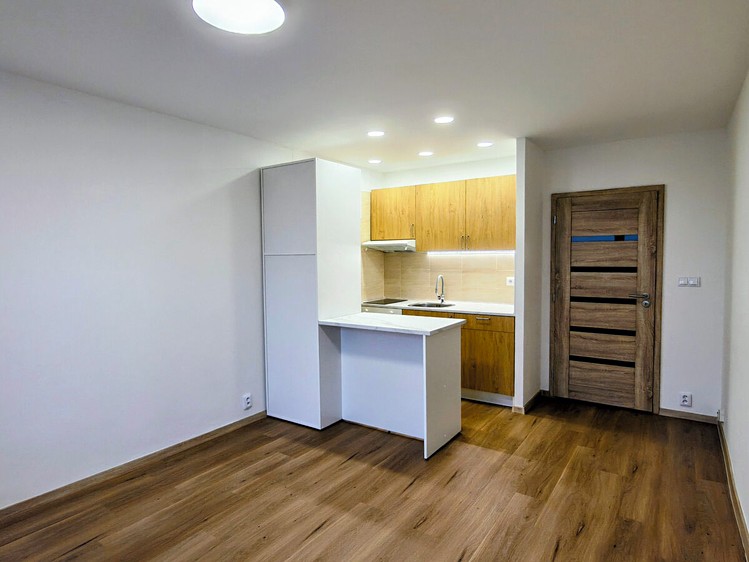 Wohnung 1+kk zur Miete, 30 m² (1 von 18)