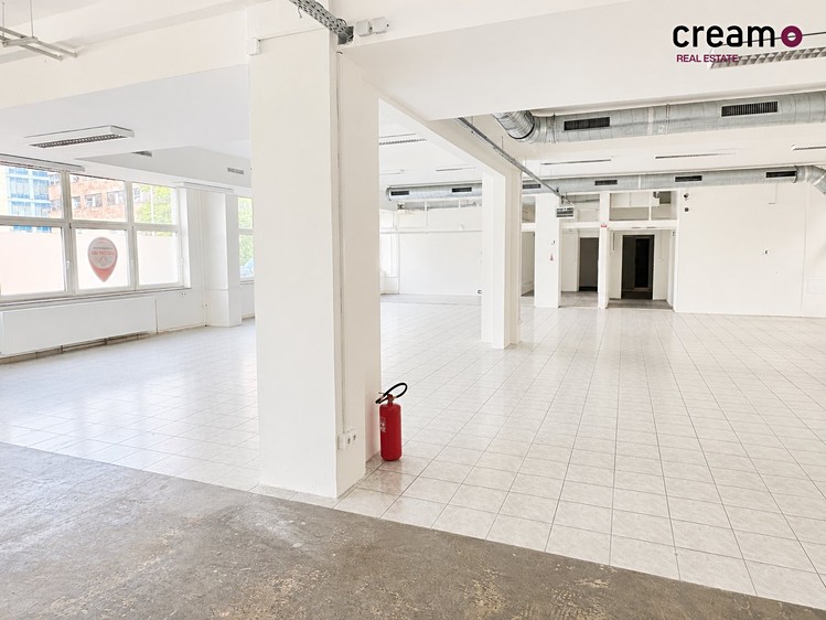 Pronájem komerčního prostoru, 346 m² (6 z 15)