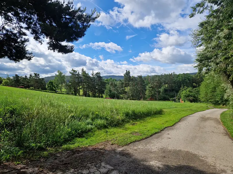 Prodej pole 5167 m², Holubov – náhled fotky 2