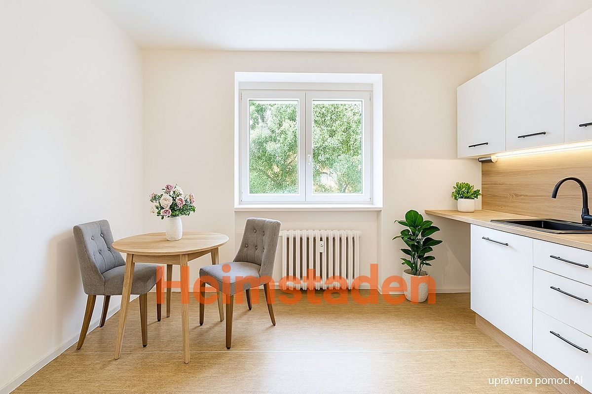 Pronájem bytu 1+1 28 m²