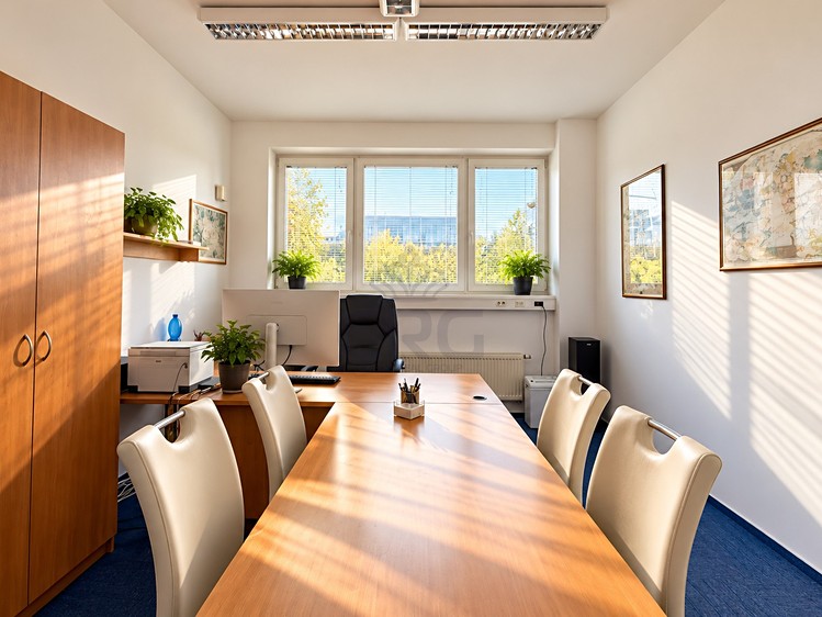 Pronájem komerčního prostoru, 125 m² (31 z 59)