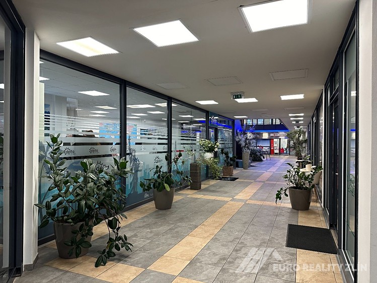 Pronájem komerčního prostoru, 46 m² (1 z 6)
