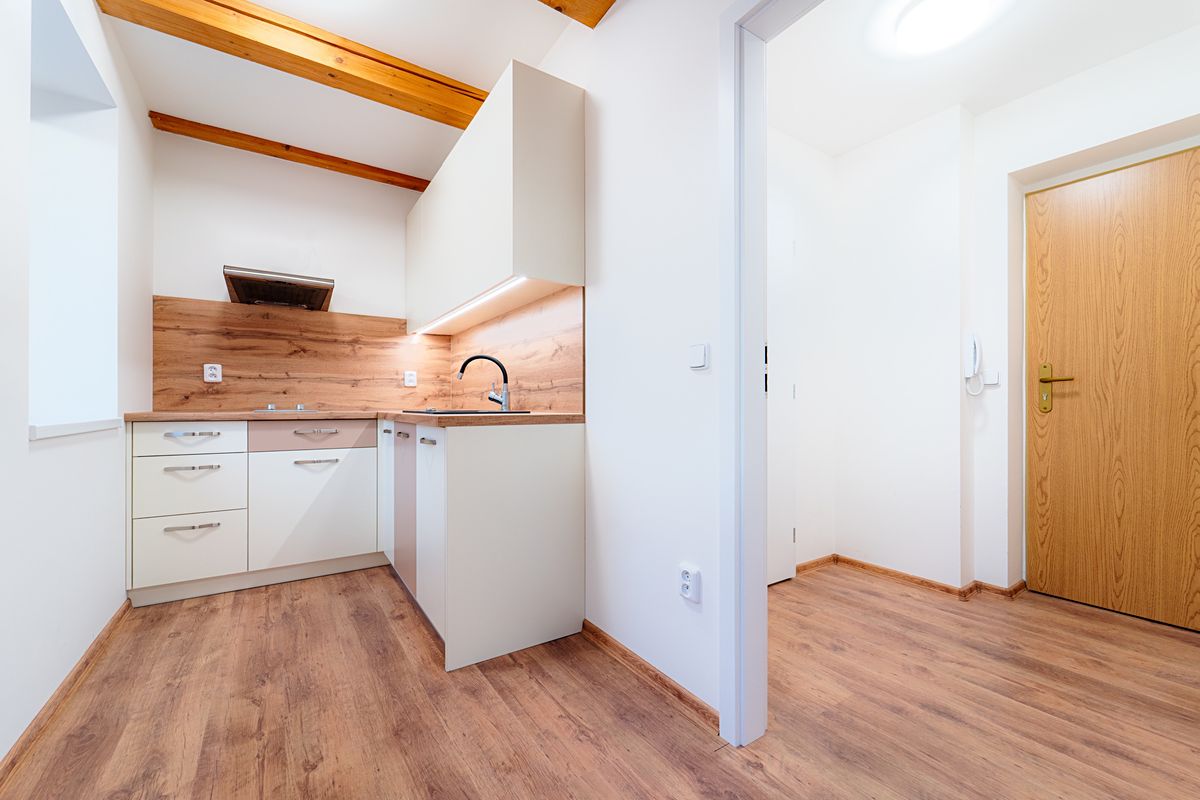 Pronájem bytu 1+kk 25 m², Štěpánov – fotka 1 z 3