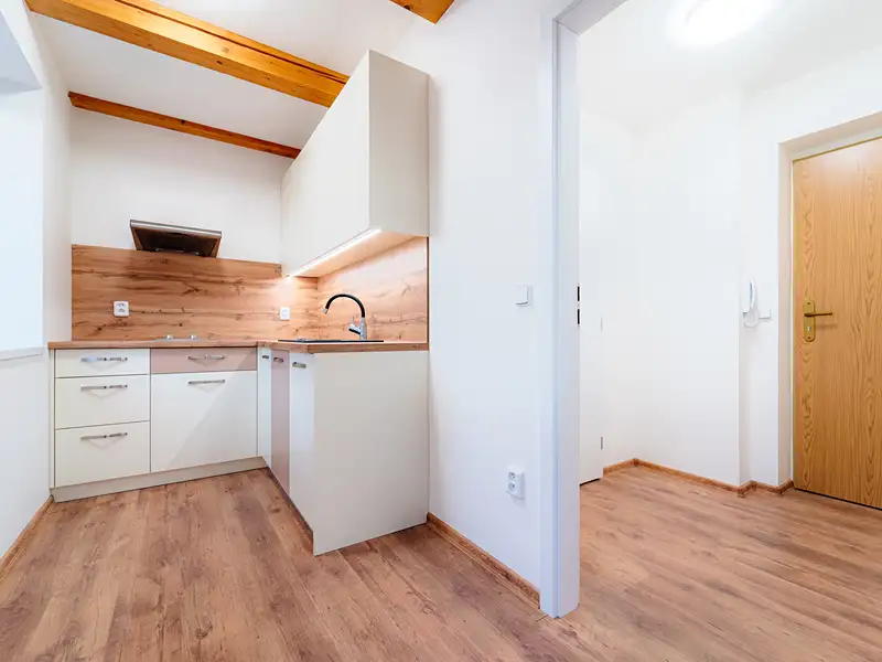 Pronájem bytu 1+kk 25 m², Štěpánov – náhled fotky 1