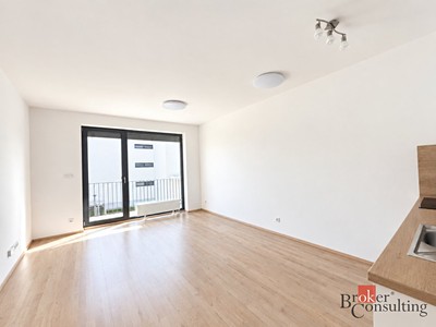 Квартира 1+kk в оренду, 33 м² (2 з 10)